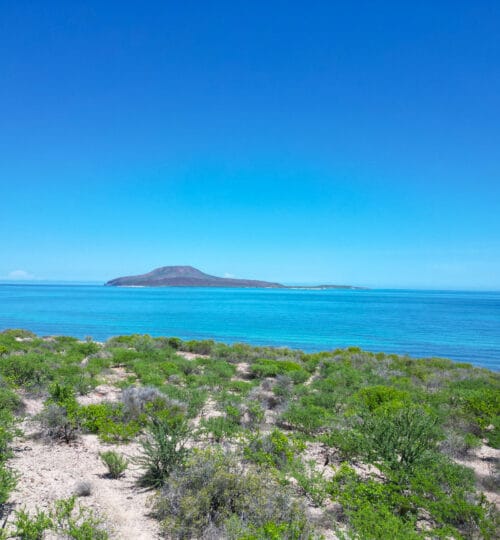 El Bajo Waterfront Lots (9–13)