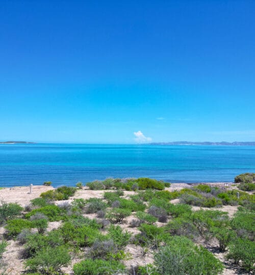 El Bajo Waterfront Lots (9–13)