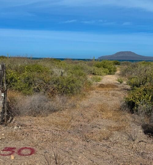El Bajo Oceanfront Lot 30:  Big Beachfront, Big Views, Big Freedom