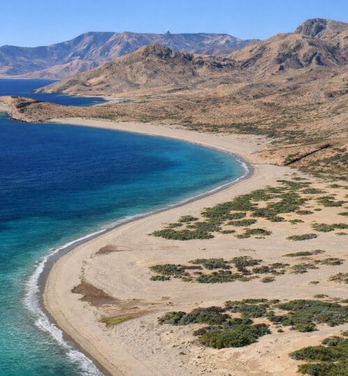 El Estuche Beachfront | 1,171.69 m²