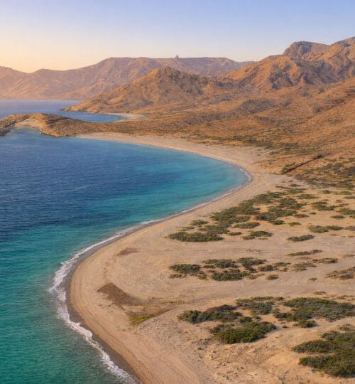 El Estuche Beachfront | 1,171.69 m²