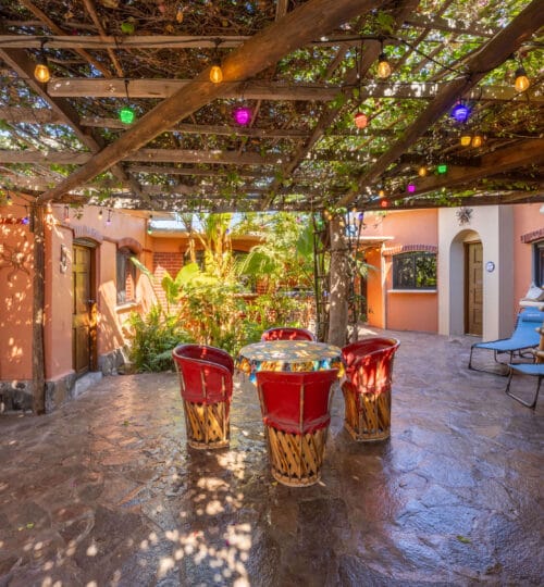 Downtown Tropical Oasis