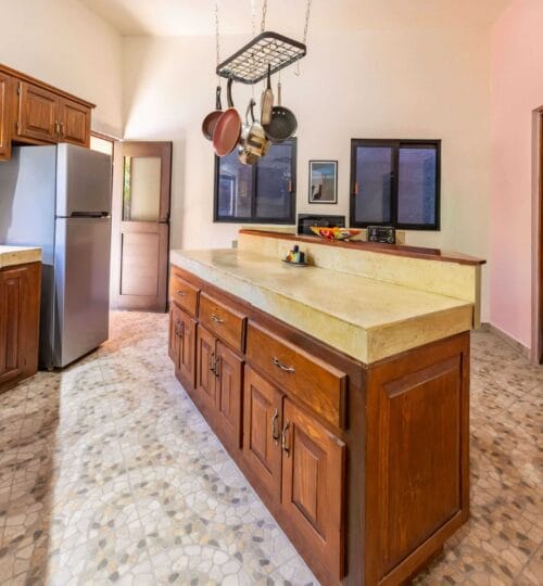 Downtown Tropical Oasis