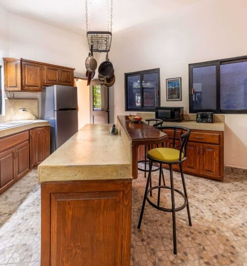 Downtown Tropical Oasis