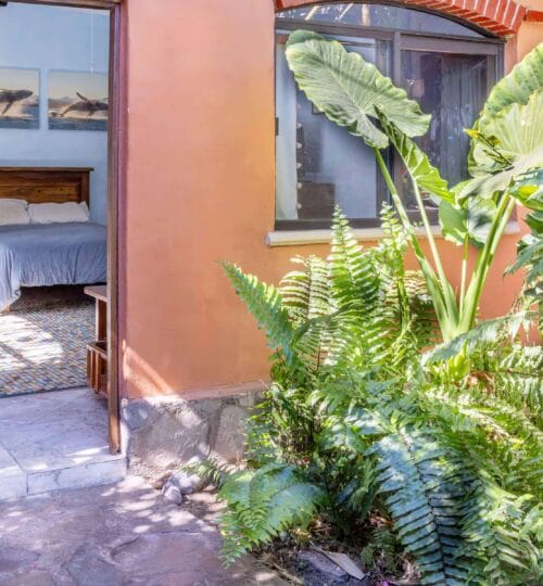 Downtown Tropical Oasis