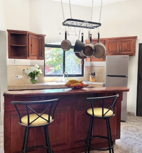 Downtown Tropical Oasis