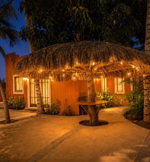 Casa de las Palmas, Davis Street